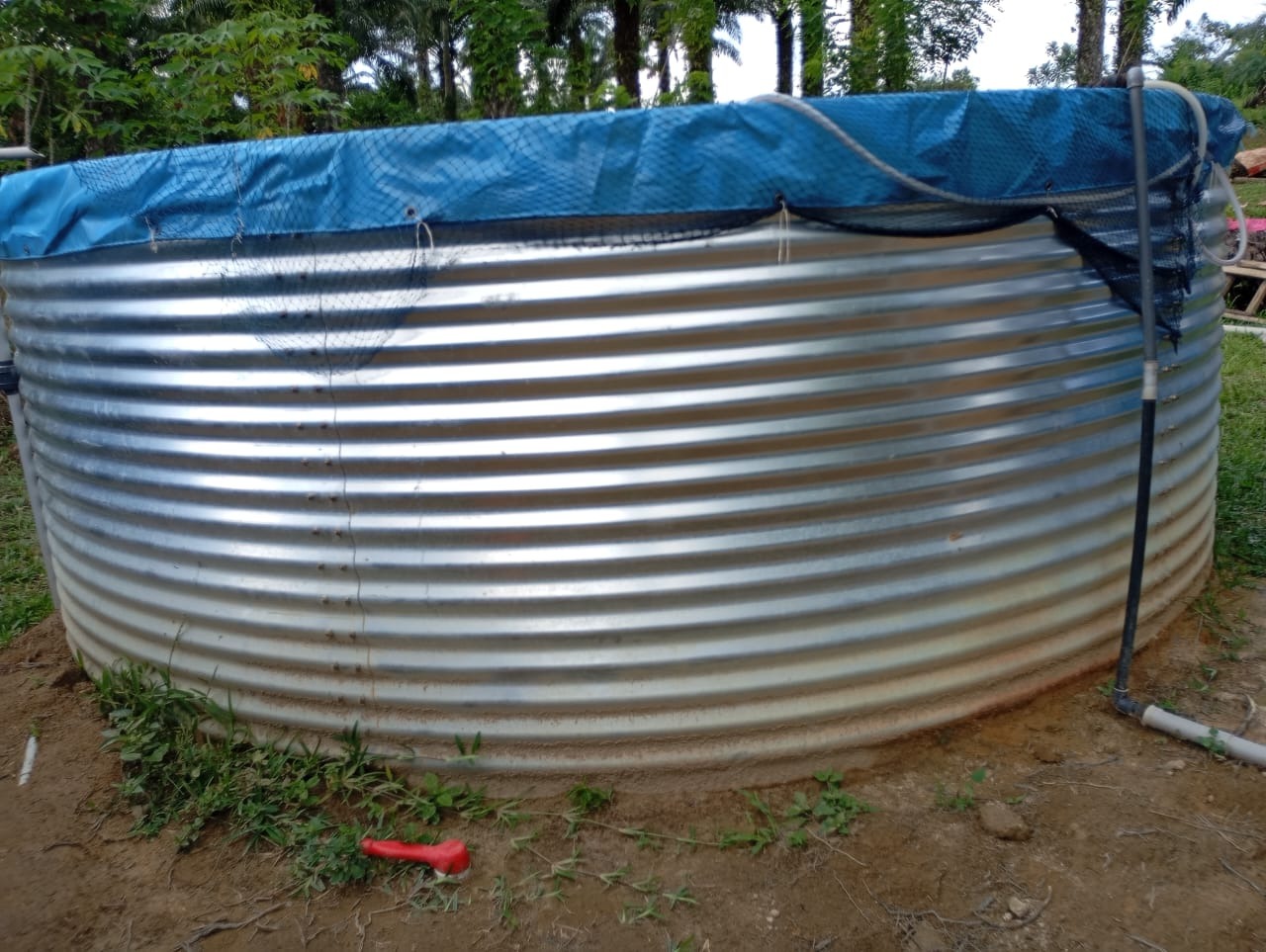 Vue de la station piscicole SAP GK Groupe